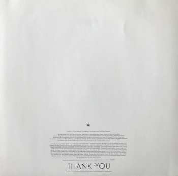 LP Foxing: The Albatross 