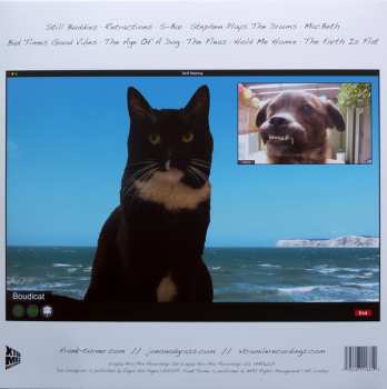 LP Frank Turner: Buddies II: Still Buddies CLR | LTD