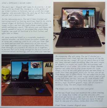 LP Frank Turner: Buddies II: Still Buddies CLR | LTD