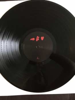 LP Frightened Rabbit: The Midnight Organ Fight