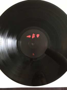 LP Frightened Rabbit: The Midnight Organ Fight