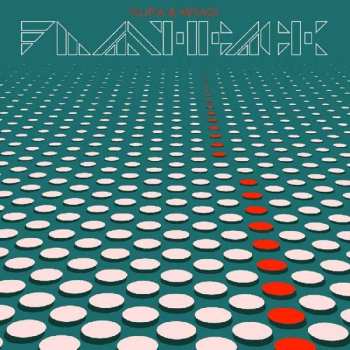Album Fujiya & Miyagi: Flashback