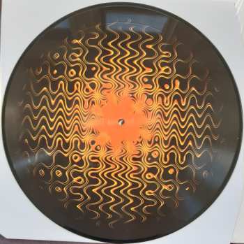 LP Fuxa: Covered In Stars LTD | PIC