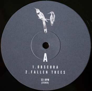 2LP Fuzzy Lights: Twin Feathers