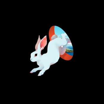 Album Ganser: Animal Hospital