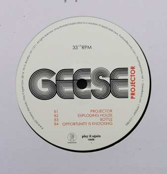 LP Geese: Projector