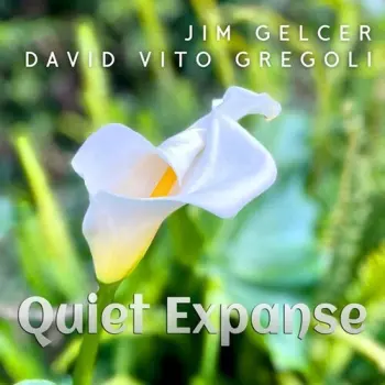Gelcer,jim / Gregoli,david Vito: Quiet Expanse