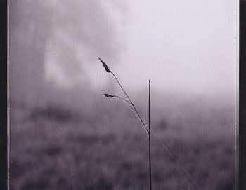 CD Ghost Circus: Across The Line