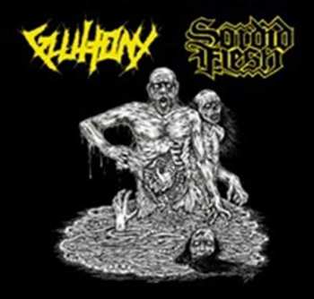 CD Gluttony/sordid Flesh: Split Cd