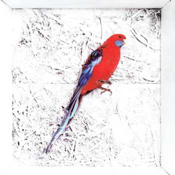 LP Grace Cummings: Storm Queen