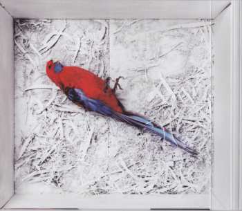 CD Grace Cummings: Storm Queen