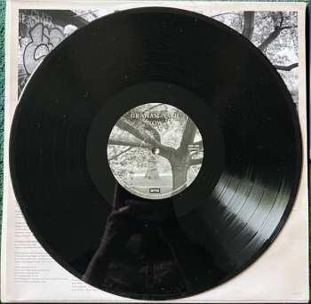 LP Graham Nash: Now
