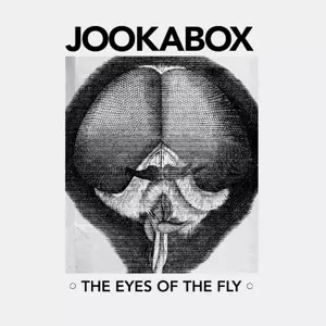 The Eyes Of The Fly