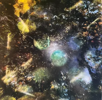 Green-House: A Host for All Kinds of Life