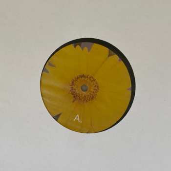 LP Green-House: Six Songs For Invisible Gardens