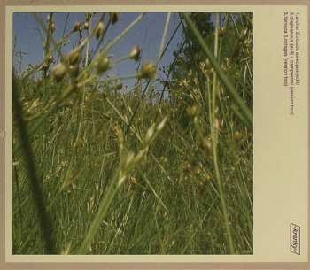 CD Greg Davis: Somnia