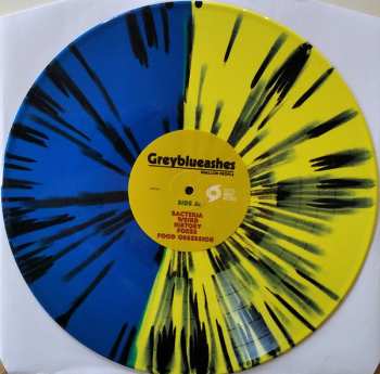 LP Grey Blue Ashes: Shallow People