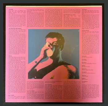 LP Grian Chatten: Chaos For The Fly