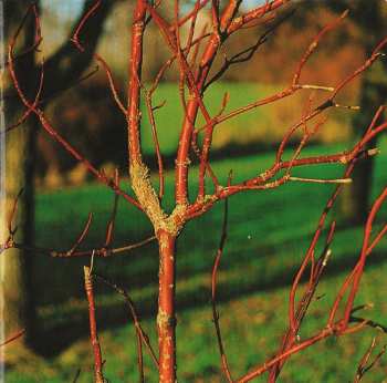 CD Gunner Friis: Kalejdoskop