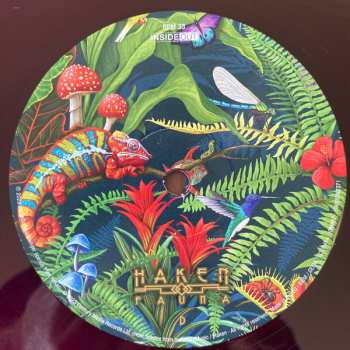 2LP Haken: Fauna LTD | CLR