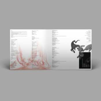 LP Hakushi Hasegawa: Mah​ō​gakkō CLR