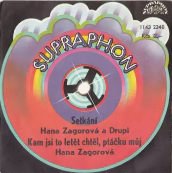 Hana Zagorová: Setkání / Kam Jsi To Letět Chtěl, Ptáčku Můj