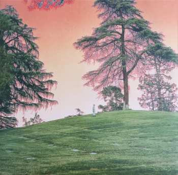 LP Hand Habits: placeholder  CLR | LTD