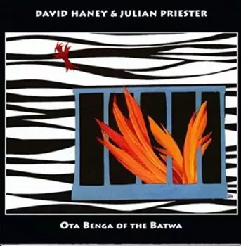 Haney,david & Priester,julian: Ota Benga Of The Batwa
