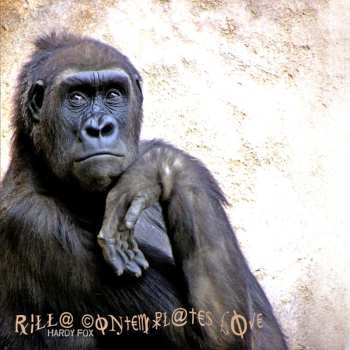 Album Hardy Fox: Rilla Contemplates Love