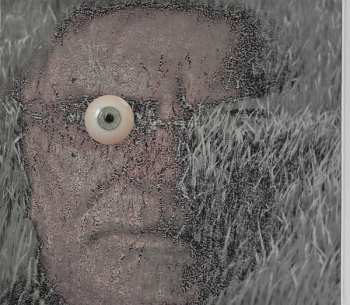 CD Hardy Fox: Rilla Contemplates Love