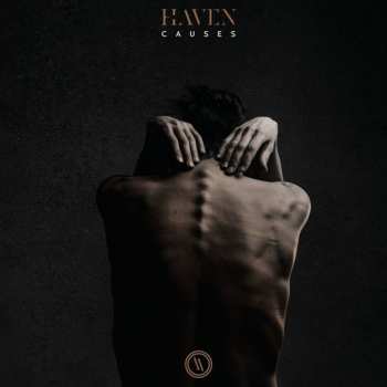 CD Haven: Causes