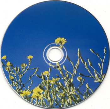 CD Headland: True Flowers From This Painted World