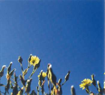 CD Headland: True Flowers From This Painted World