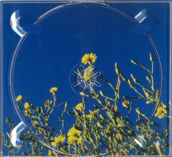 CD Headland: True Flowers From This Painted World