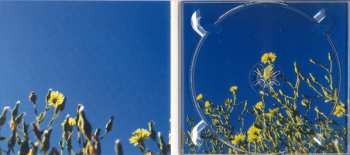 CD Headland: True Flowers From This Painted World