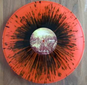 LP Heart Of A Coward: Hope and Hindrance LTD | CLR