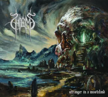 Stranger In A Wasteland Black Lt