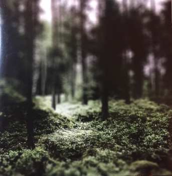 LP Helge Lien Trio: Hello Troll