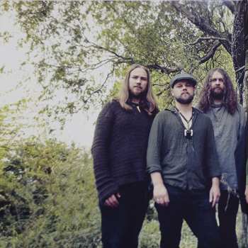 LP Hexvessel: All Tree CLR | LTD