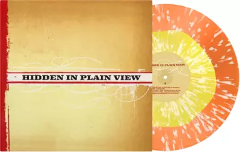 Hidden In Plain View