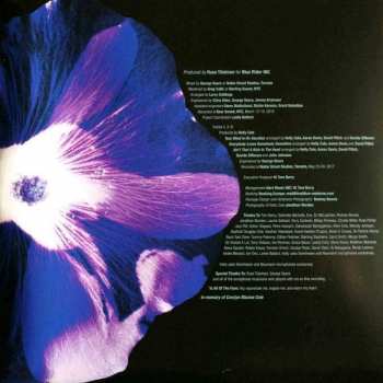 LP Holly Cole: Holly