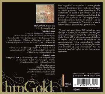CD Hugo Wolf: Prometheus Orchesterlieder
