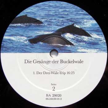 LP Humpback Whale: Die Gesänge Der Buckelwale