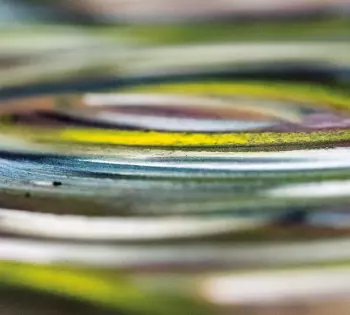 Erik Wøllo: Revolve