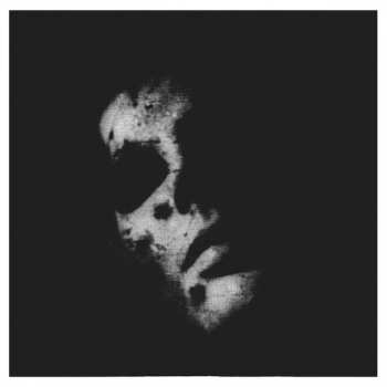 CD/Zestaw pudełkowy In Solitude: Sister DLX | LTD