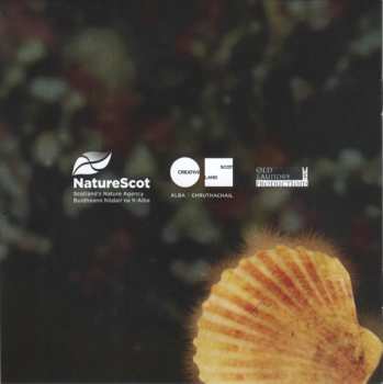 CD Ingrid Henderson: Brath Sa Bhuideal = Message In A Bottle