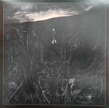 Album Innerwoud: Furie