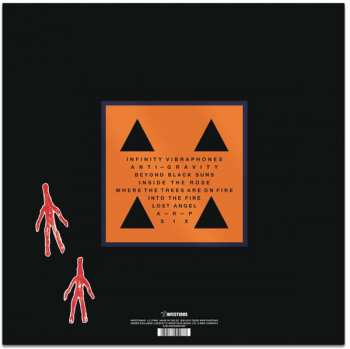 LP These New Puritans: Inside The Rose