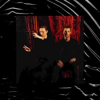 CD These New Puritans: Inside The Rose