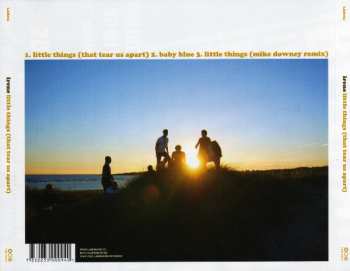 CD Irene: Little Things (That Tear Us Apart)